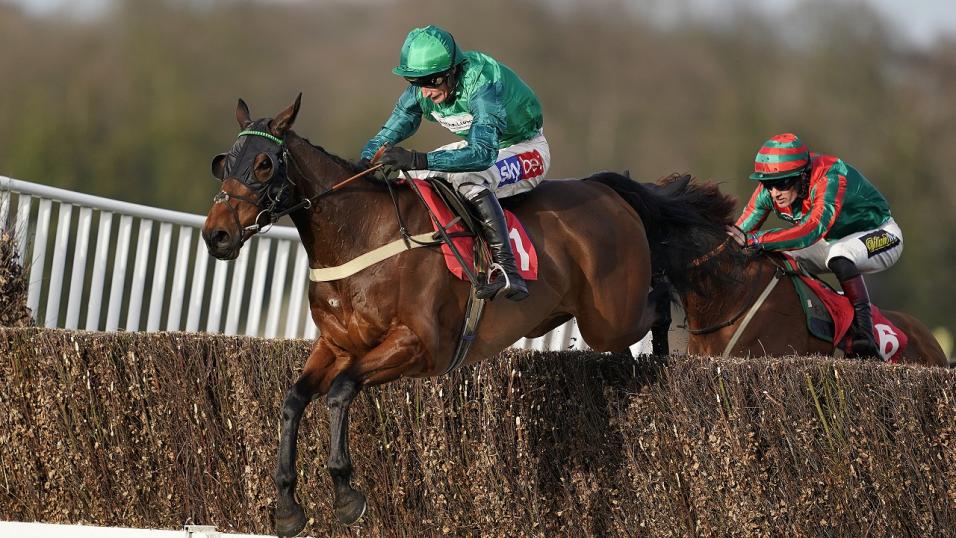 Sandown fence